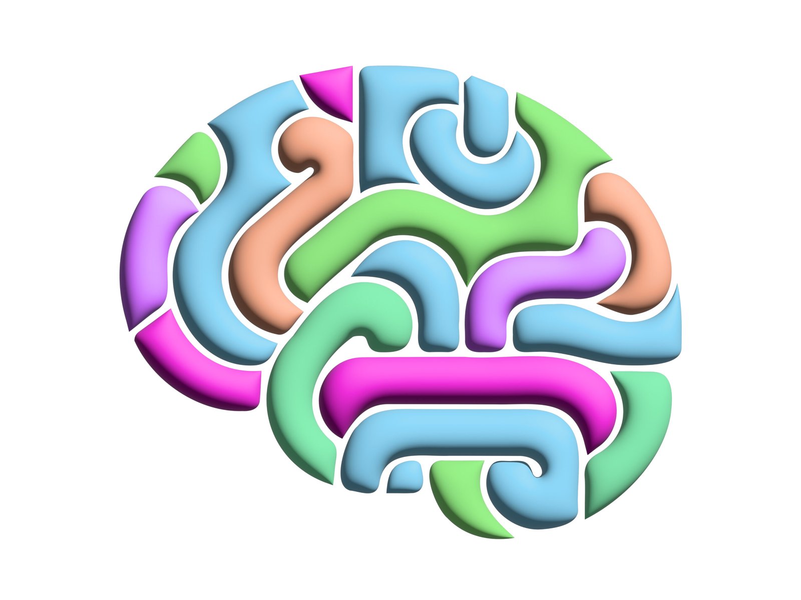 brain