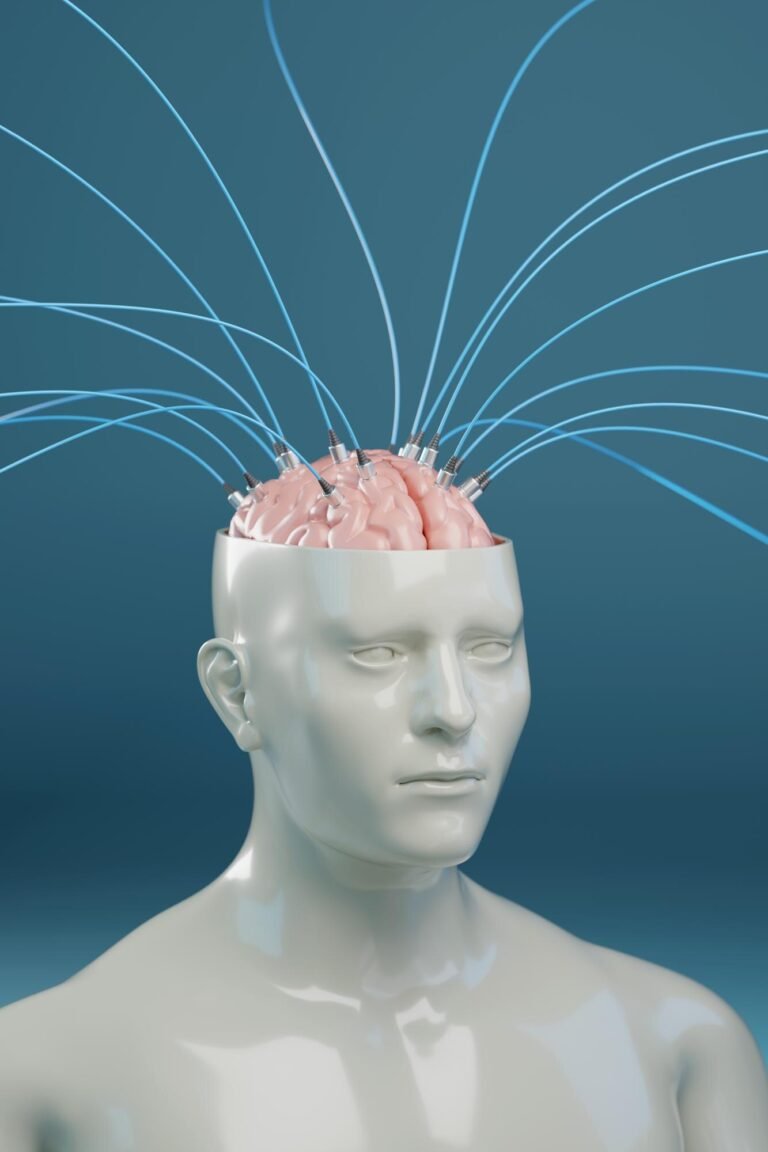 featured-image-1758648304