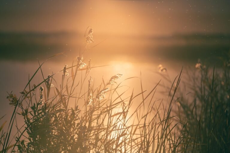 featured-image-1758719226