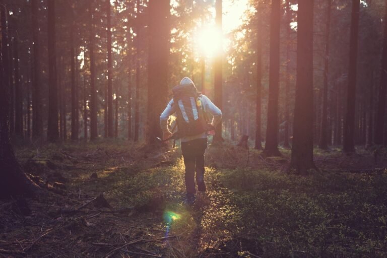 featured-image-1758720245-1