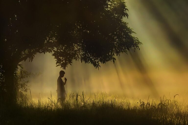 featured-image-1758720303-2