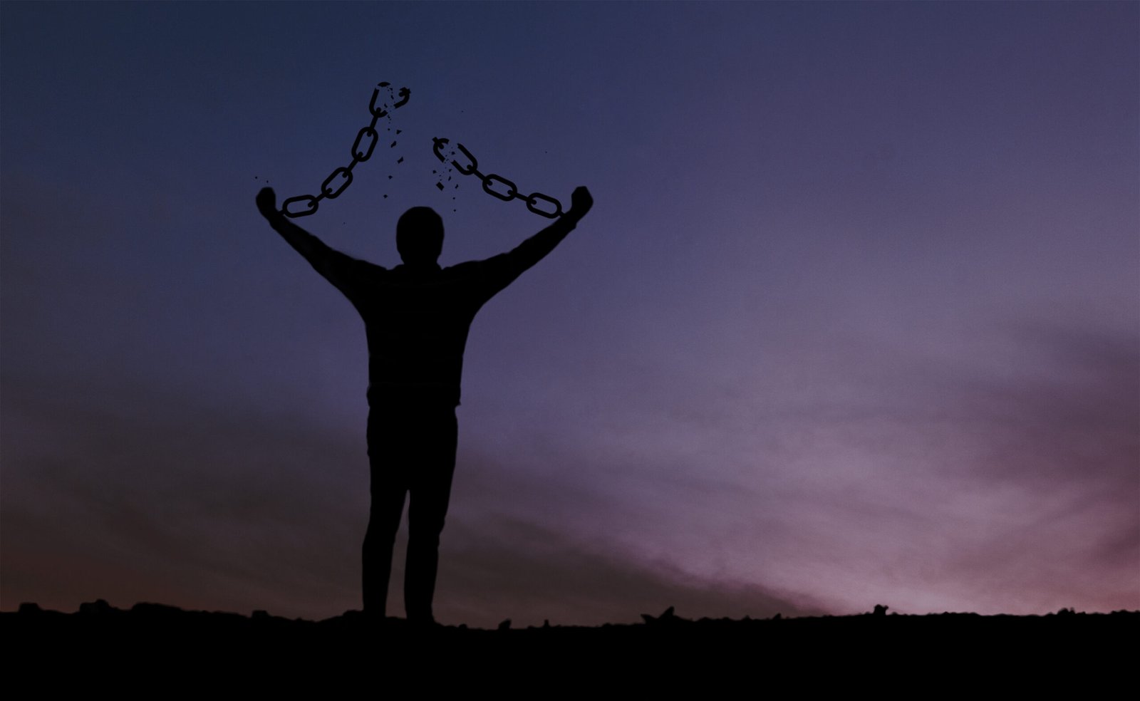 freedom