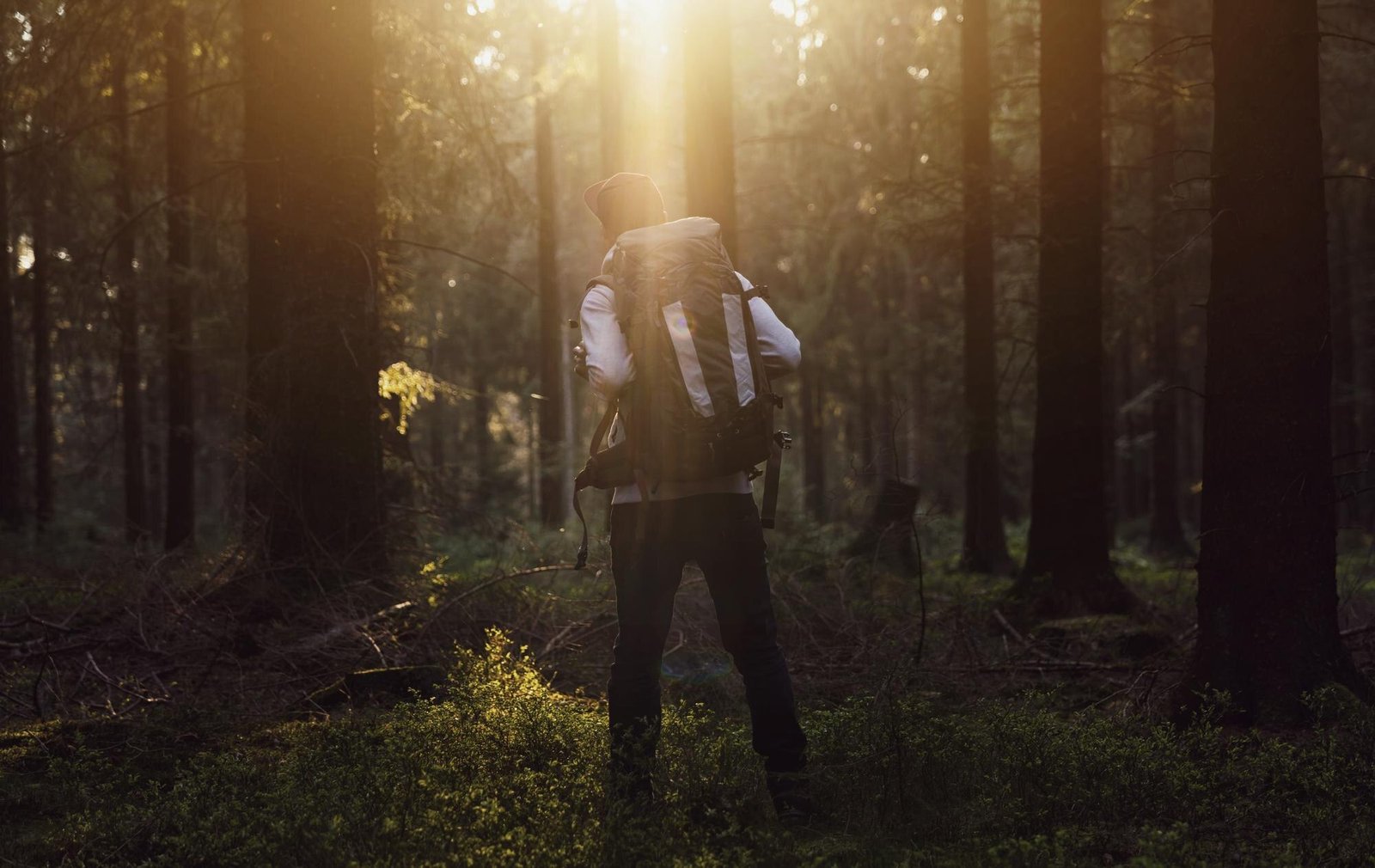 featured-image-1758722707-2