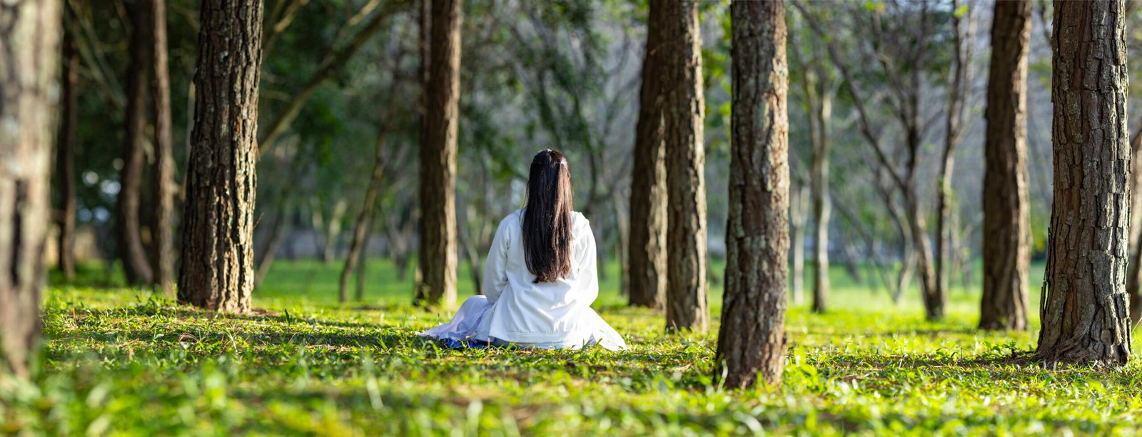 Woman relaxingly practicing meditation in the pine forest to attain happiness from inner peace wisdom with beam of sun light for healthy mind and soul for healthy mind and soul