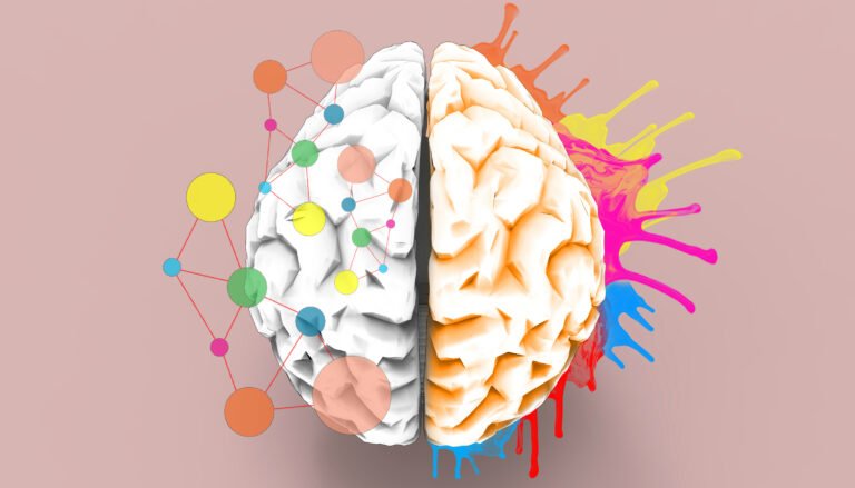 Brain left and right creativity functions   Sketch concept