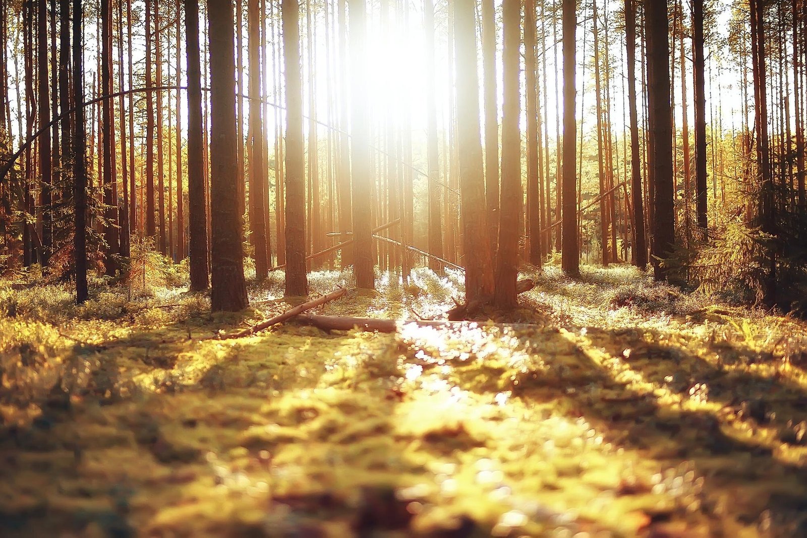 featured-image-1758726966