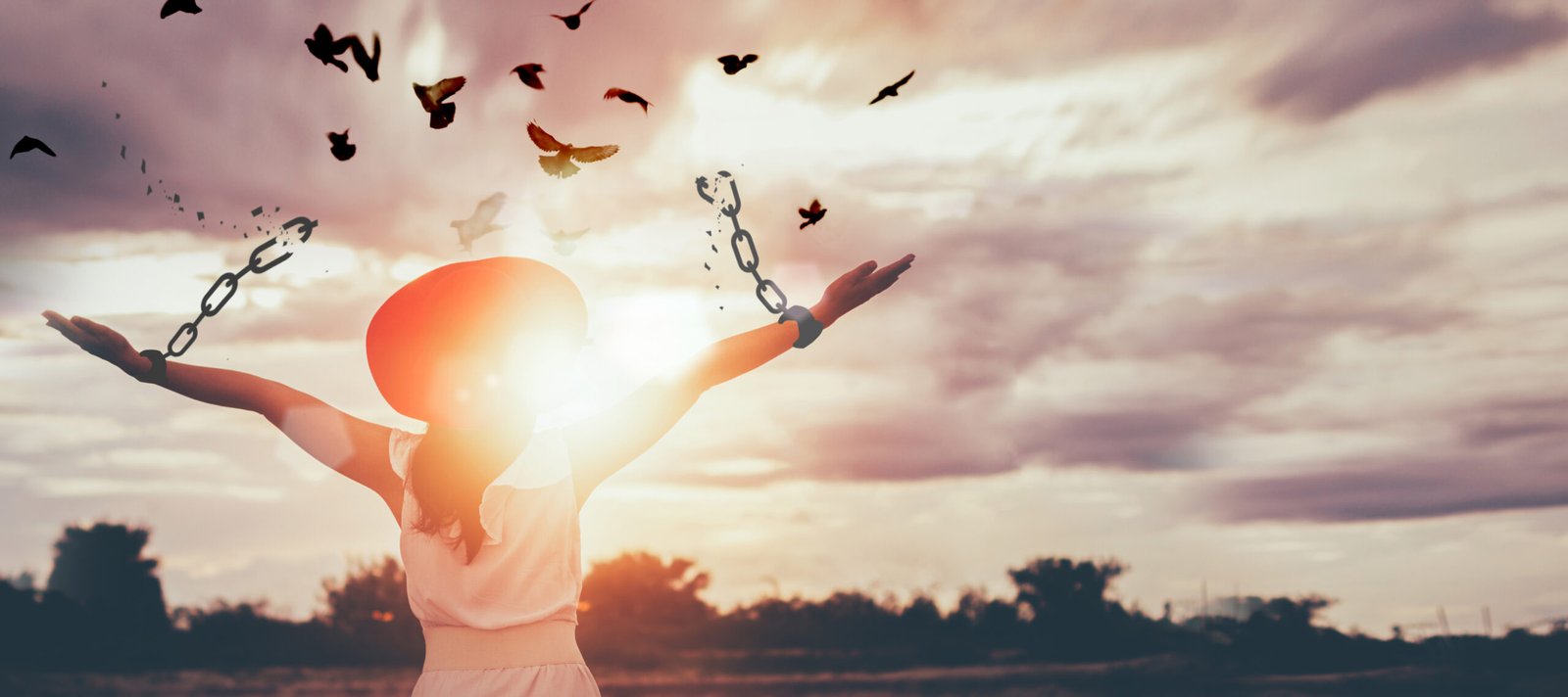 Freedom, Chain - Object, Breaking, Free of Charge, Bird, Change, Concepts, Recovery, New Life, Wellbeing