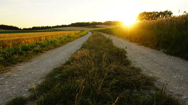 Field near Demlinger Forest close to Ingolstadt, Germany
