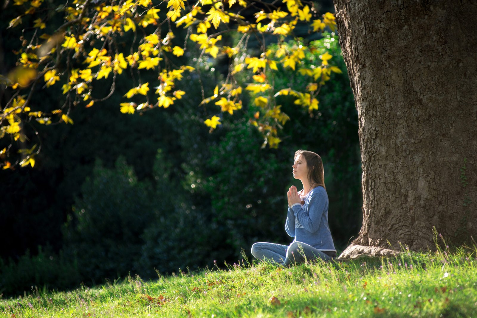 Girl meditates sitting on the grass under a maple tree in autumn