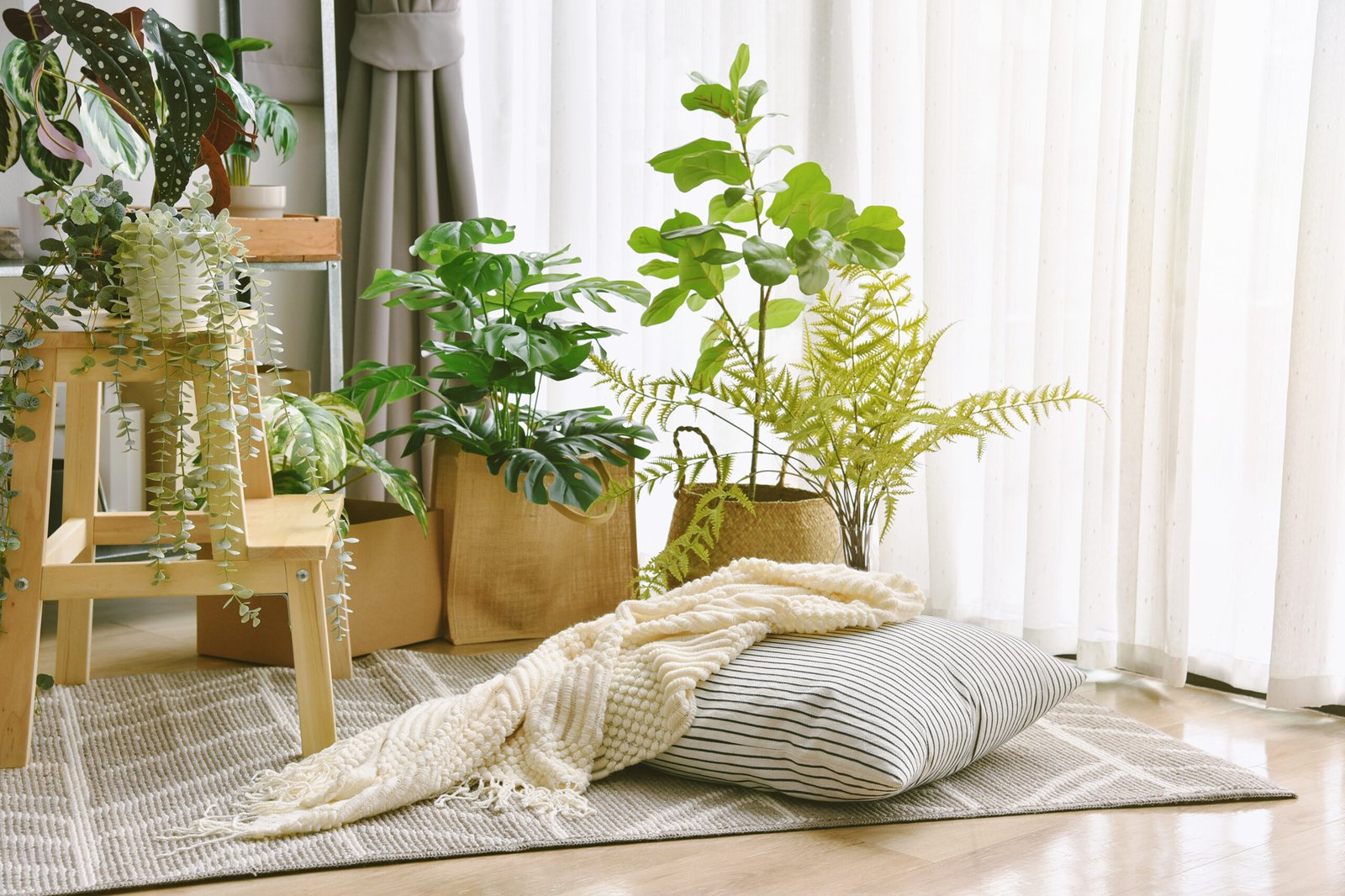 Pillow and soft blanket in relaxing space, Comfort living room with warm and cozy natural light, Artificial plant, Indoor tropical houseplant for home interior and air purification.