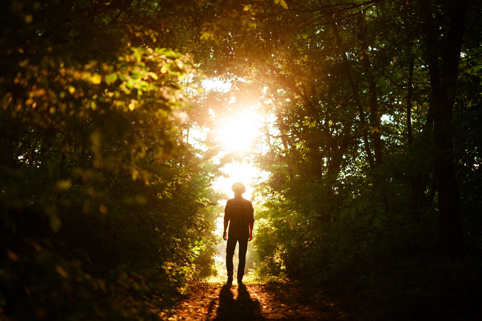Silhouette of person on sunny alley