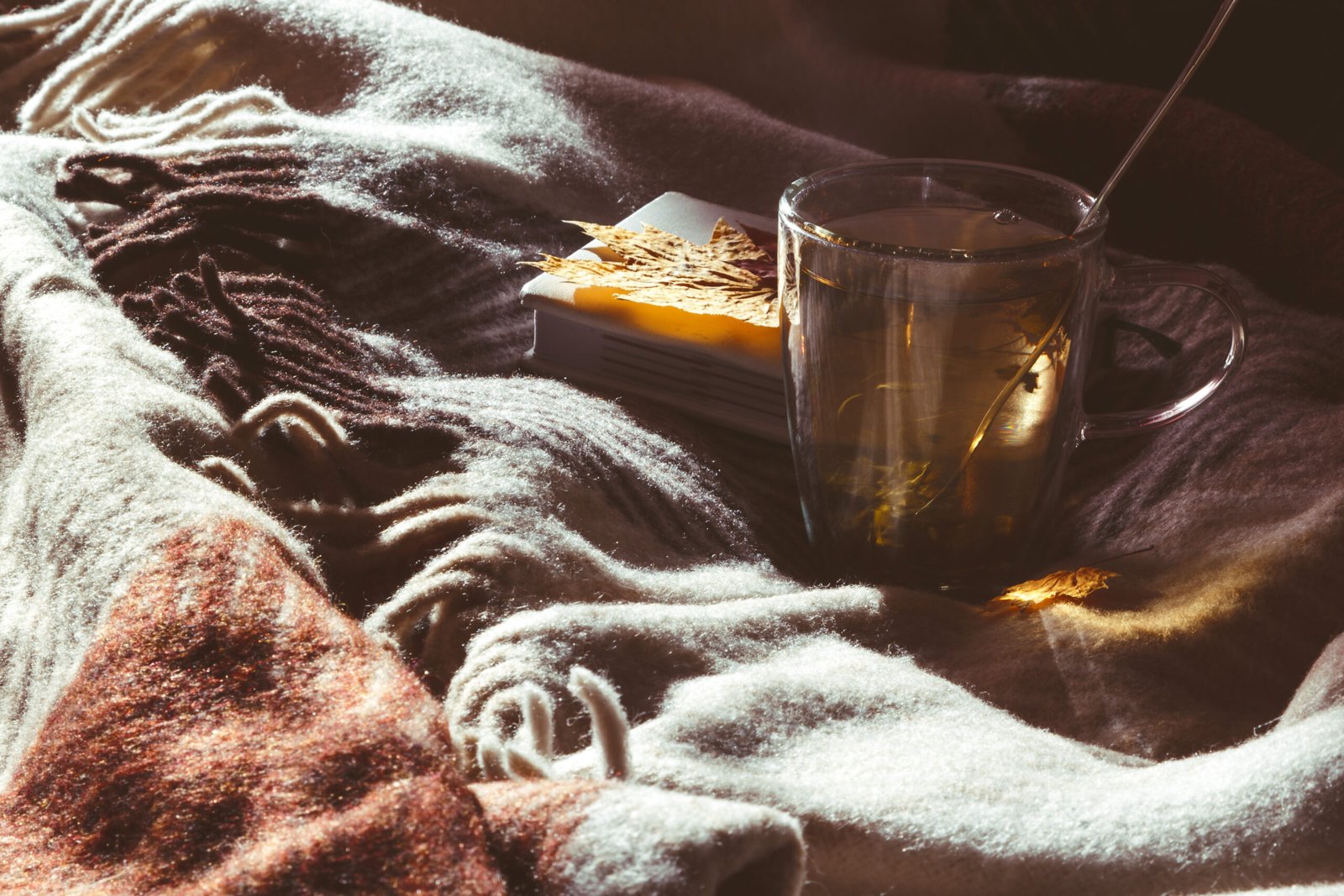 A cup of hot tea is on a plaid in the rays of sunlight.