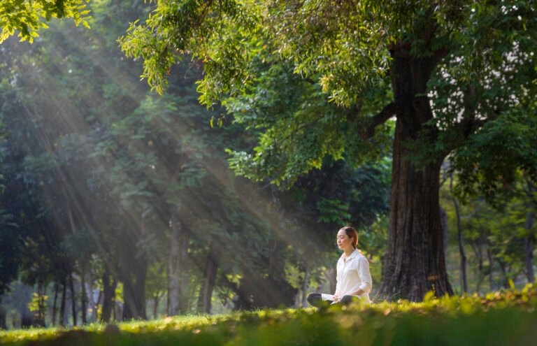 Woman relaxingly practicing meditation in the forest to attain happiness from inner peace wisdom with beam of sun light for healthy mind and soul concept