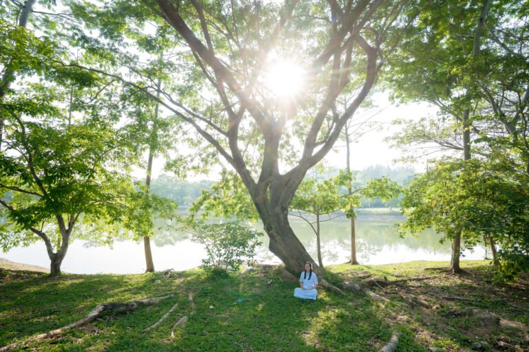 Young woman meditating peacefully under a large tree by the lake in the morning sunlight, practicing mindfulness and connection with nature outdoors