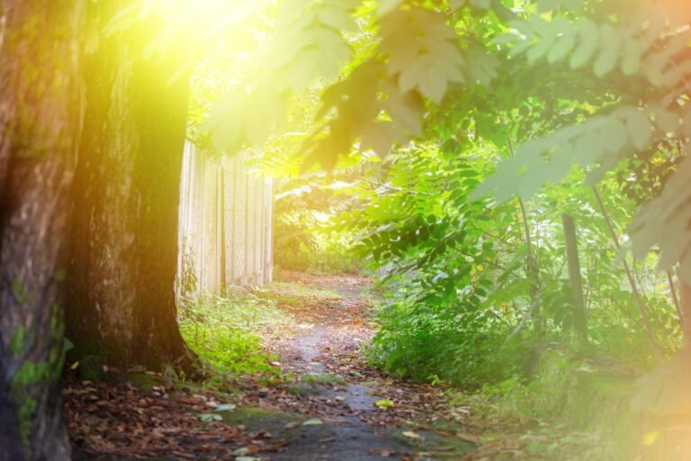 featured-image-1759426451